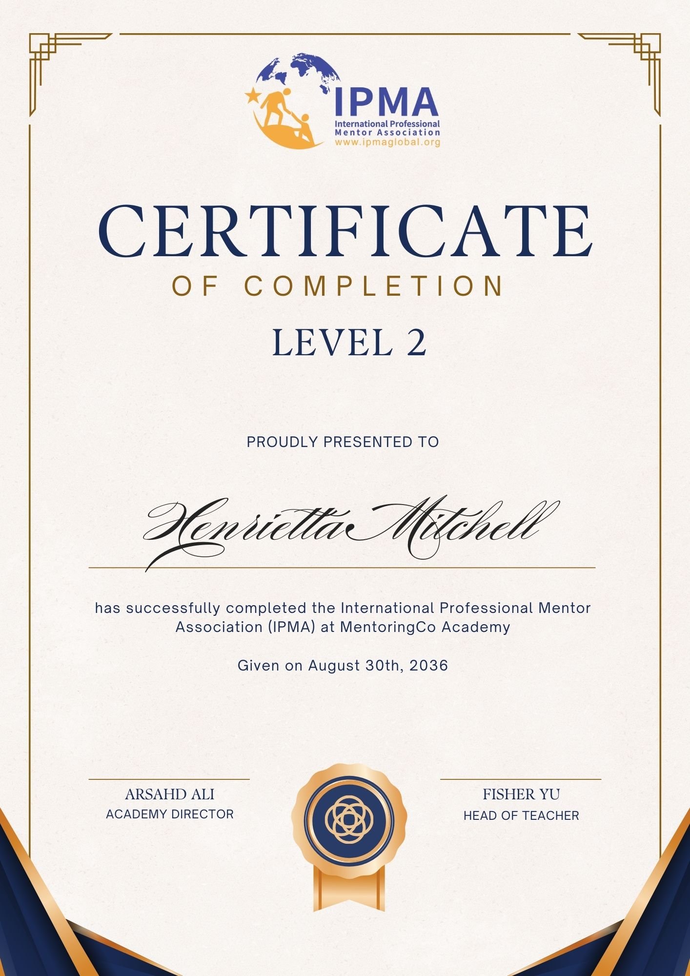 Level 2: Professional Mentor (PM)