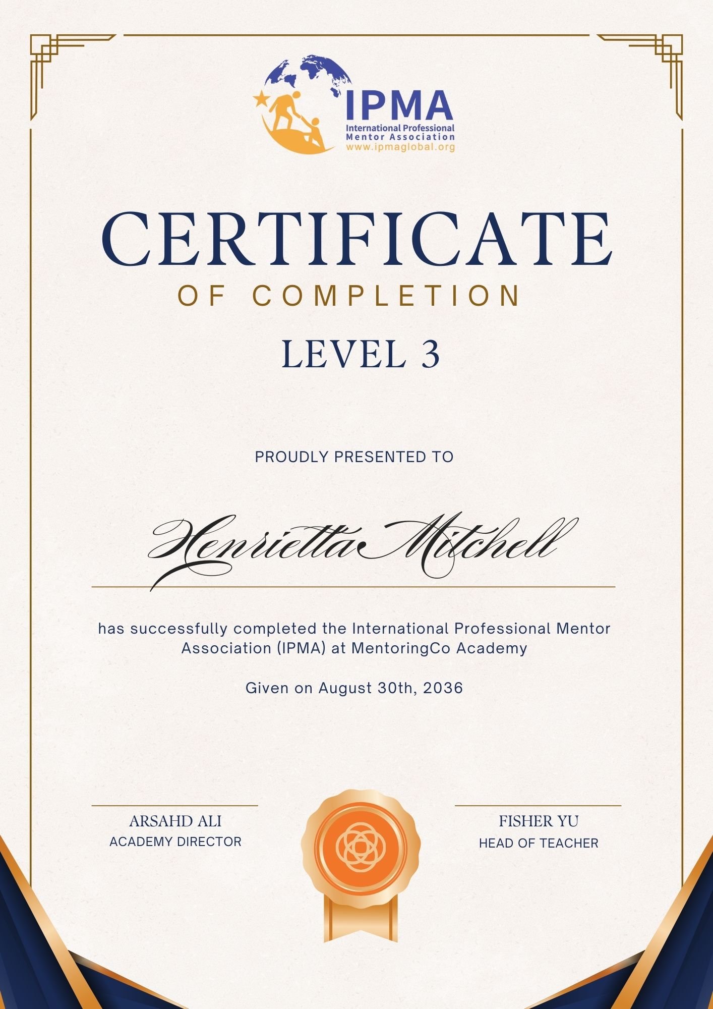 Level 3: Senior Mentor (SM)