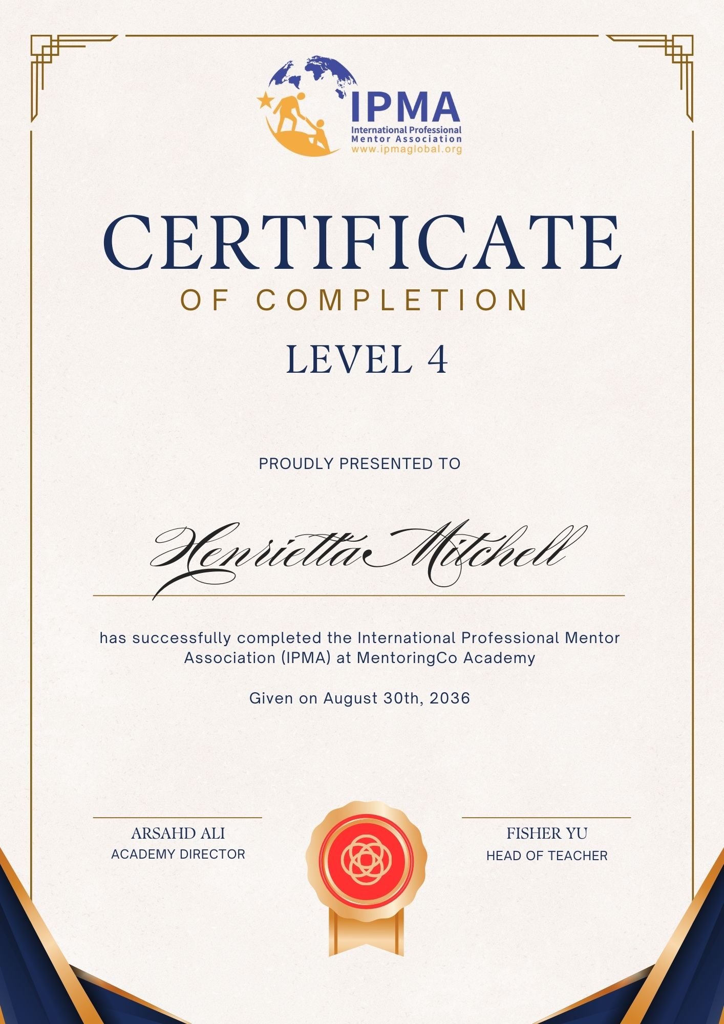 Level 4: Professional Mentor (MM)